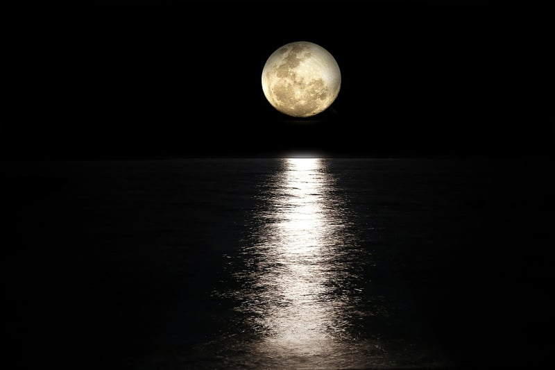 Moon Phase Wall Art